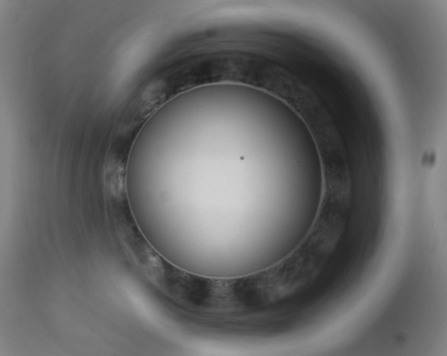 X0000112870766200908211426
