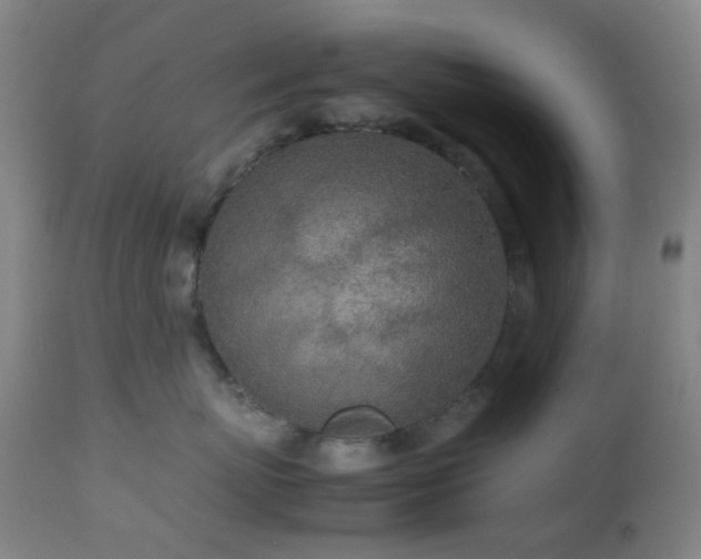 X0000112870767200908211426