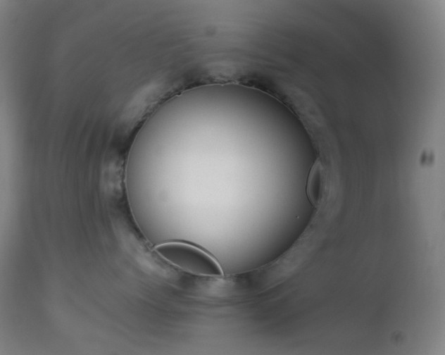 X0000112870768200908211426