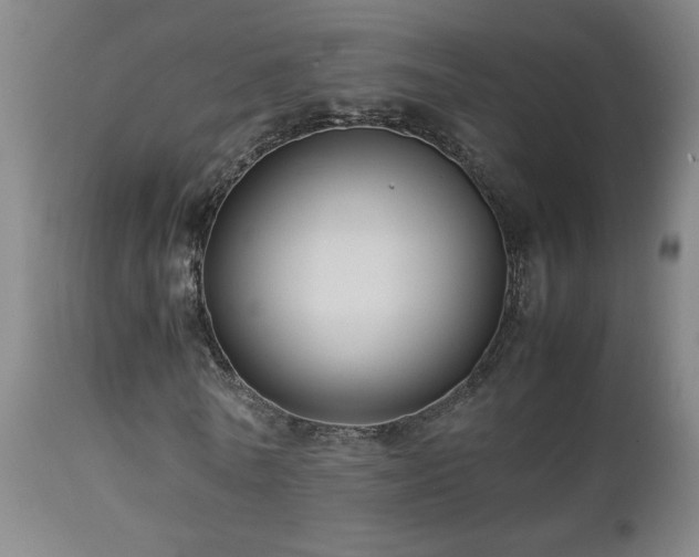 X0000112870770200908211425