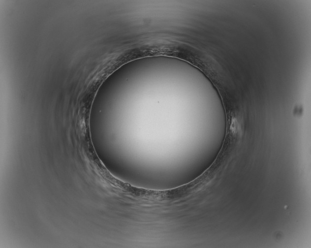 X0000112870771200908211425