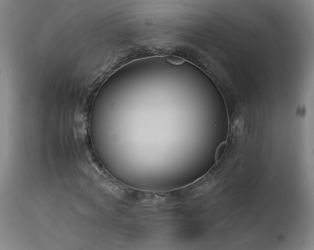 X0000112870772200908211425