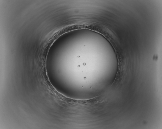 X0000112870773200908211425