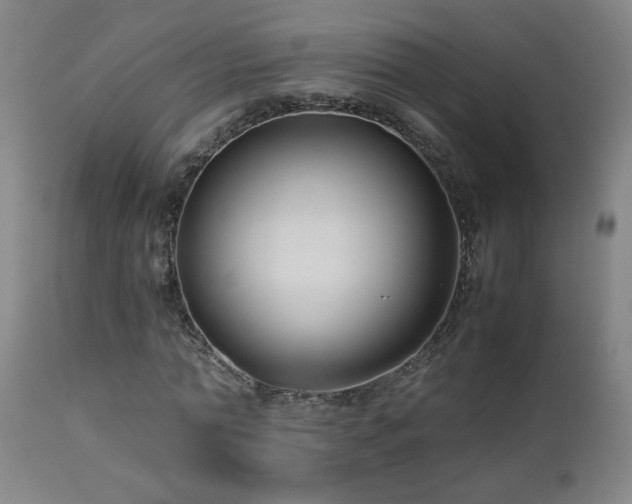 X0000112870774200908211425
