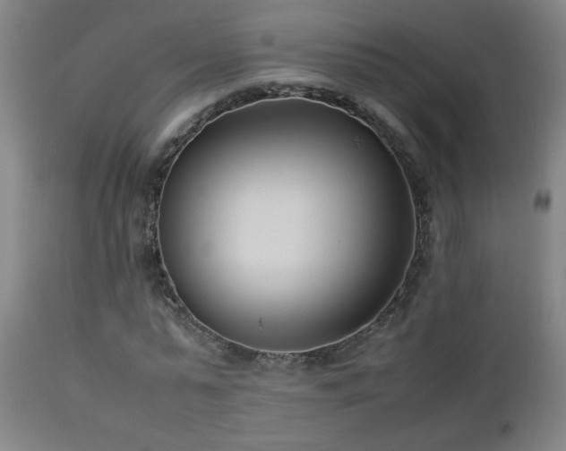 X0000112870775200908211425