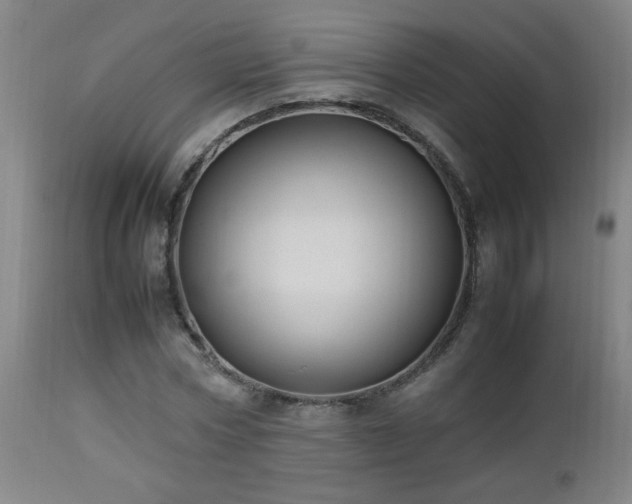X0000112870778200908211425
