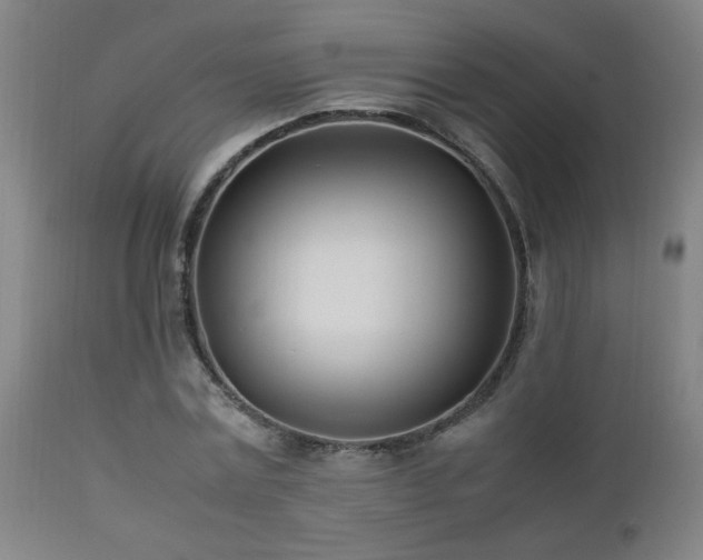 X0000112870779200908211425