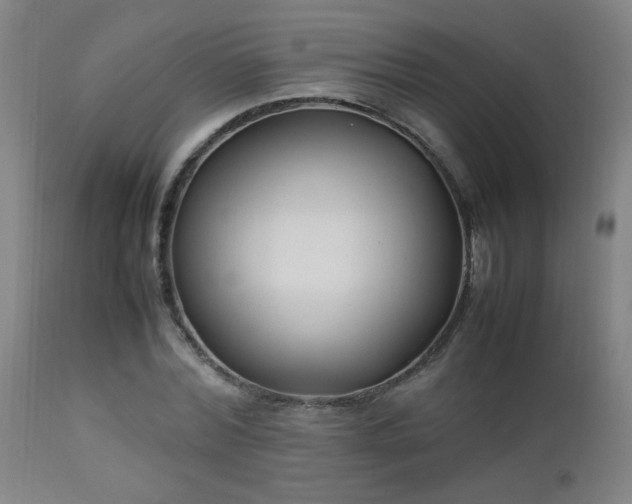 X0000112870780200908211425