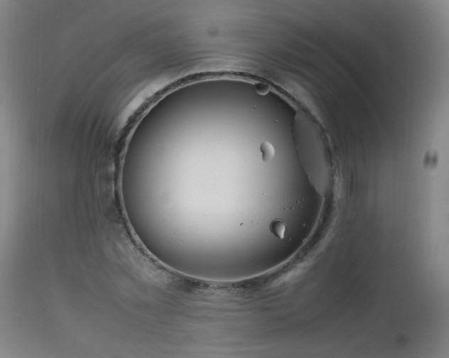 X0000112870781200908211425