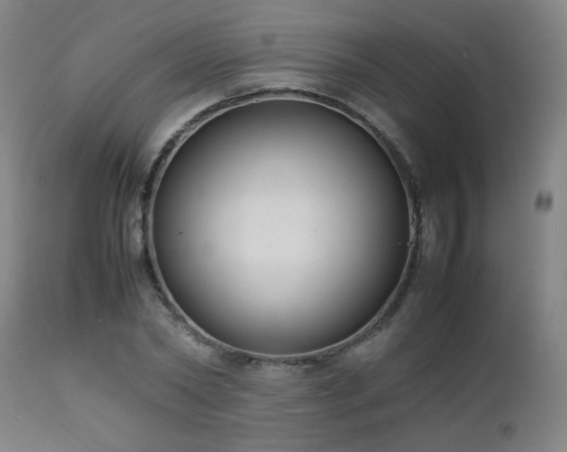 X0000112870782200908211425