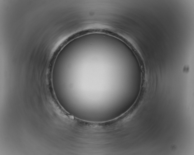 X0000112870783200908211425