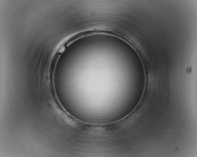 X0000112870784200908211425
