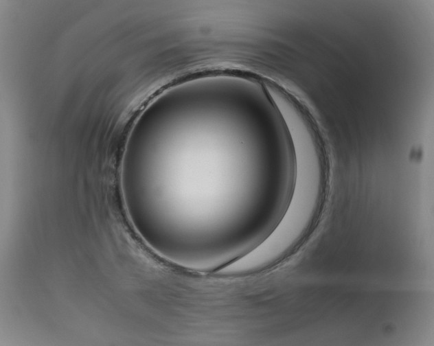X0000112870785200908211425