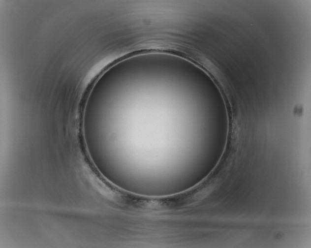 X0000112870787200908211425