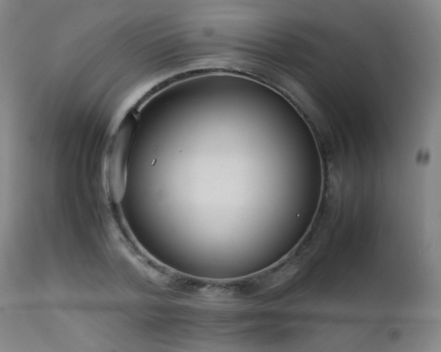 X0000112870788200908211425