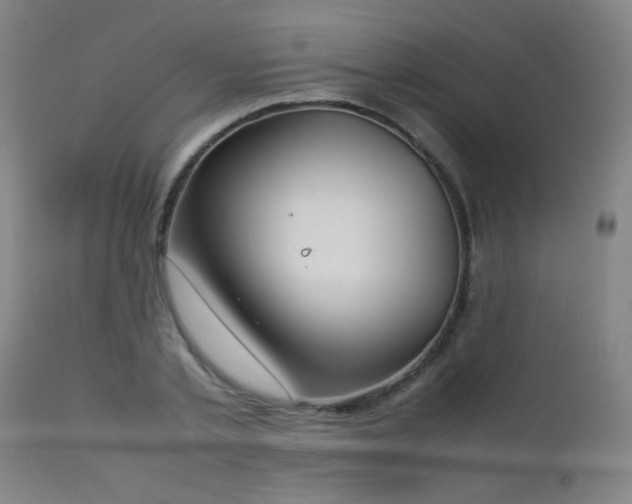 X0000112870789200908211425