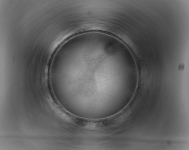 X0000112870790200908211425