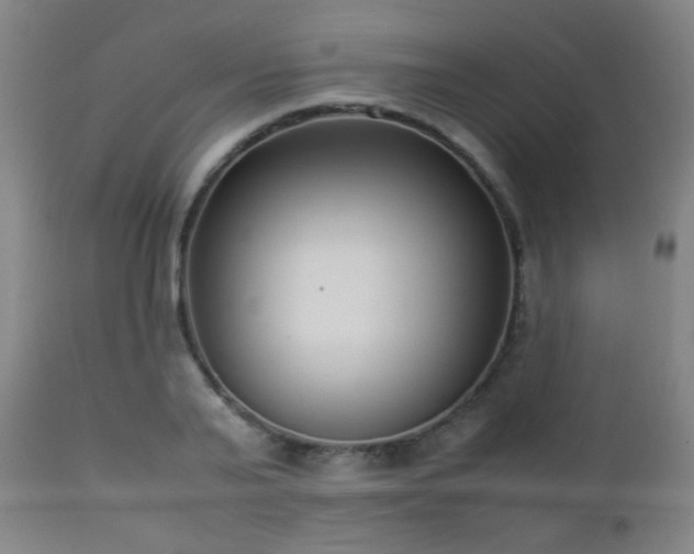 X0000112870791200908211425