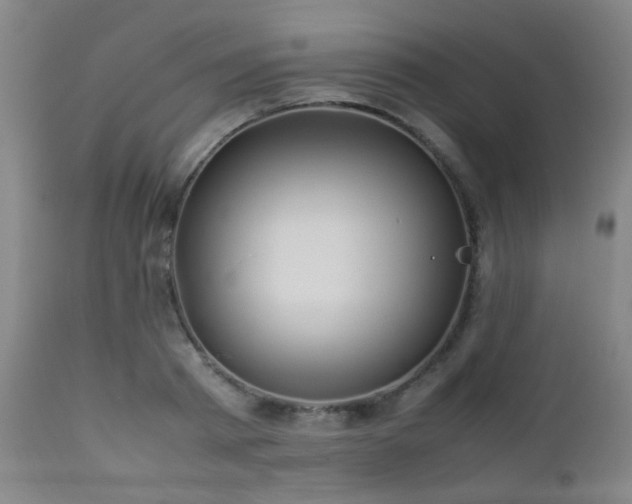X0000112870793200908211425