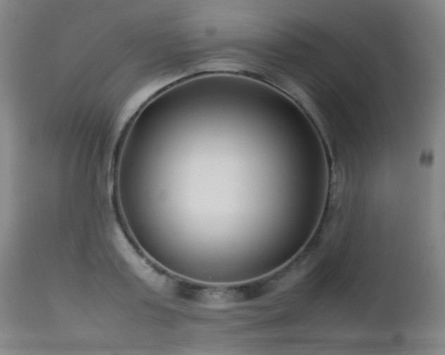 X0000112870795200908211425