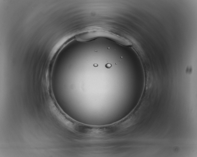 X0000112870796200908211425