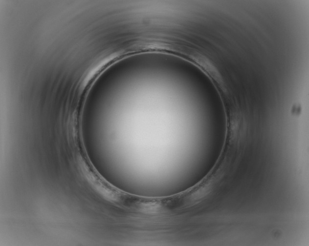 X0000112870798200908211425