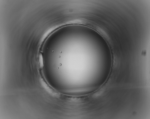 X0000112870800200908211425