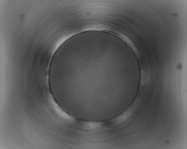 X0000112870802200908211425