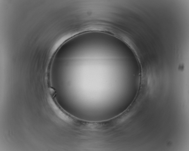 X0000112870803200908211425