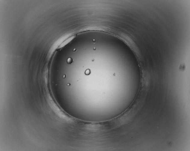 X0000112870804200908211425