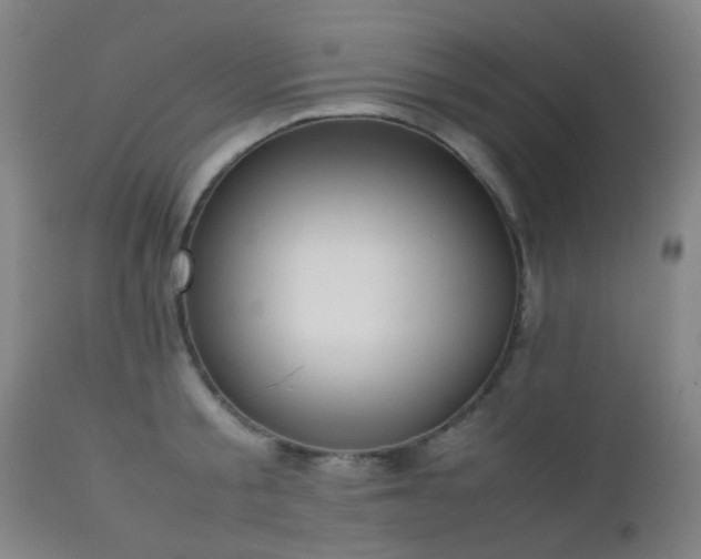X0000112870805200908211425