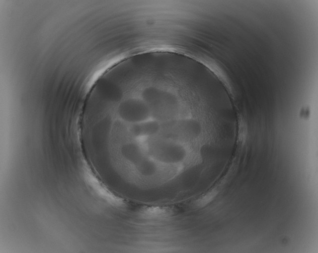 X0000112870806200908211425