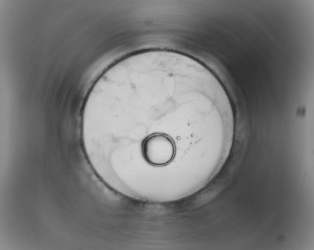 X0000112870807200908211425