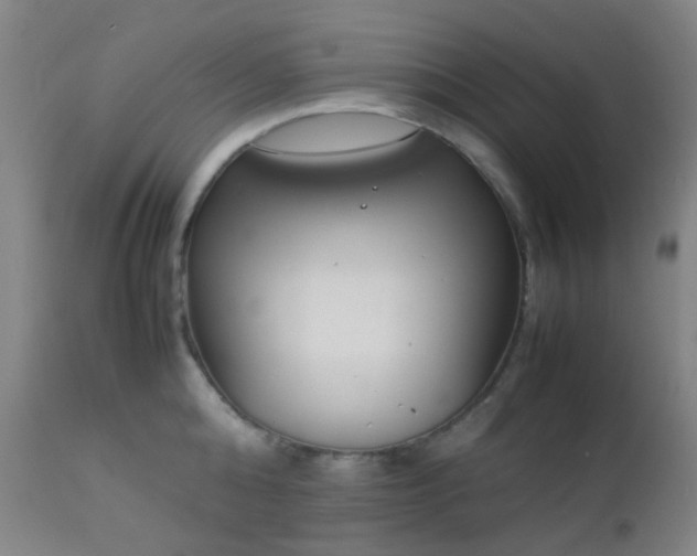 X0000112870808200908211425