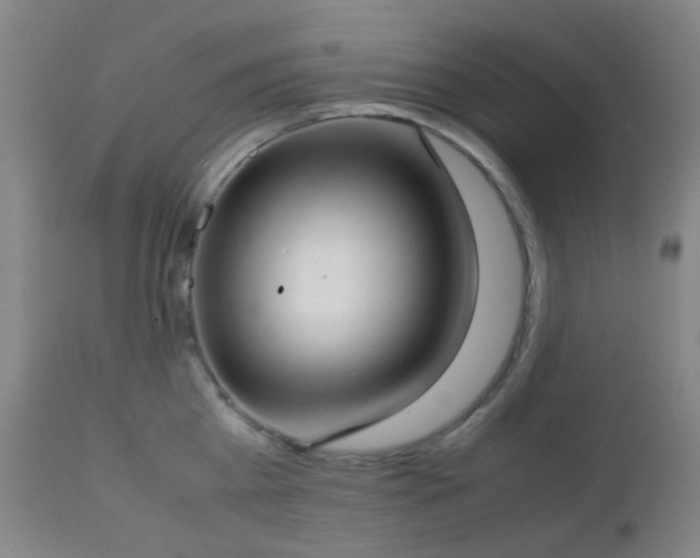 X0000112870809200908211425