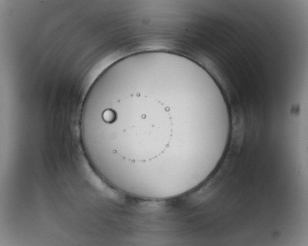 X0000112870810200908211425