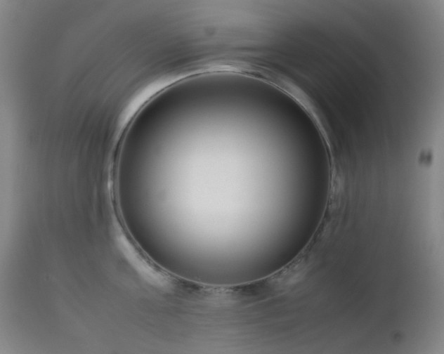 X0000112870811200908211425