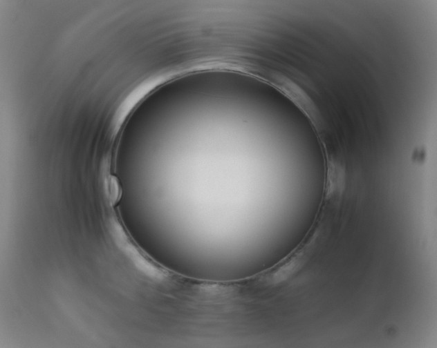 X0000112870812200908211425