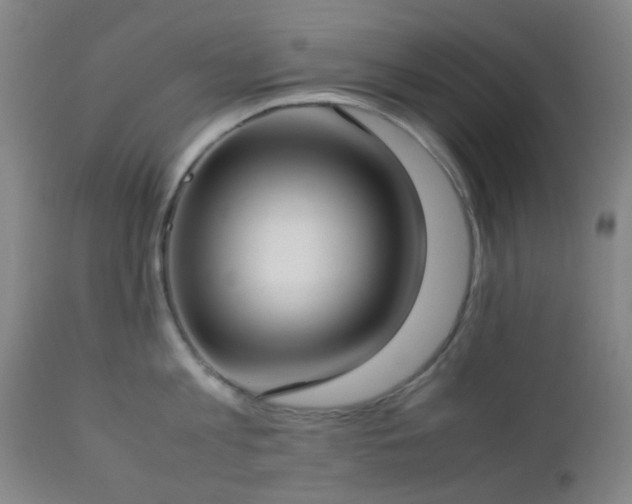 X0000112870813200908211425