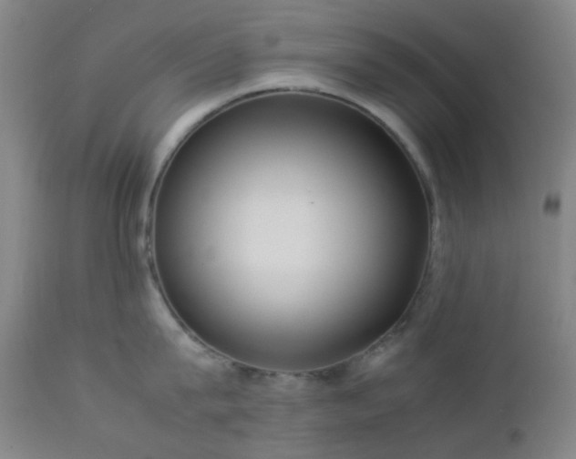 X0000112870815200908211425