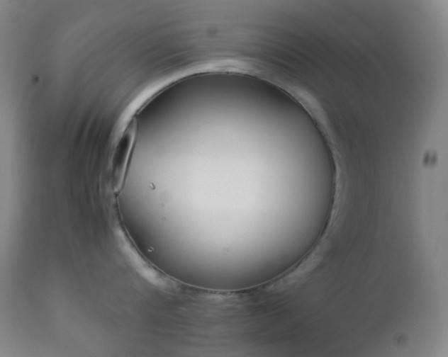 X0000112870816200908211424