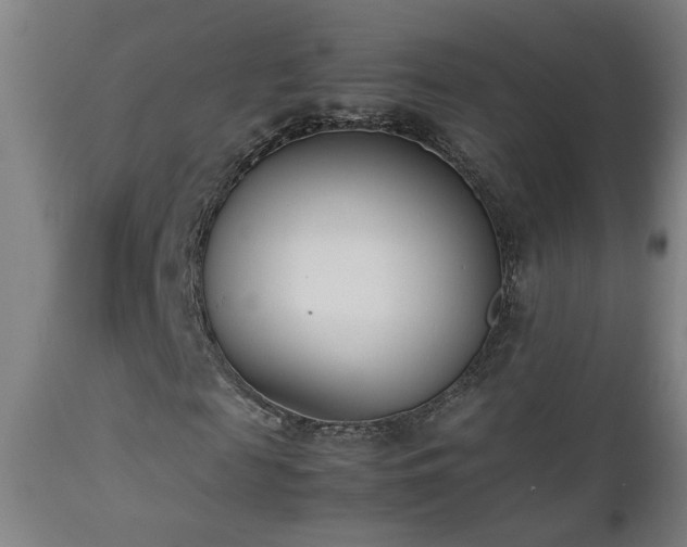 X0000112870817200908211424