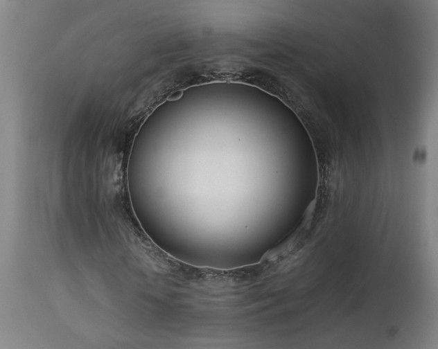 X0000112870818200908211424