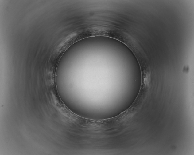 X0000112870819200908211424