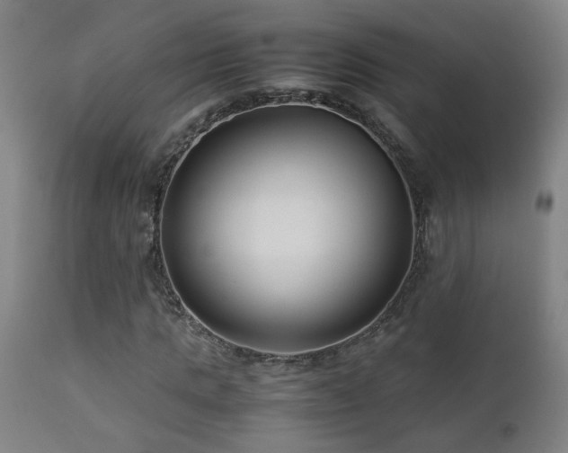 X0000112870821200908211424