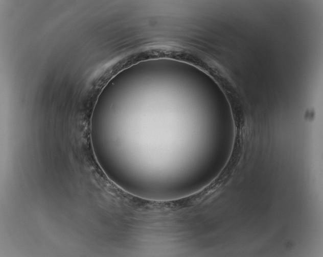 X0000112870822200908211424