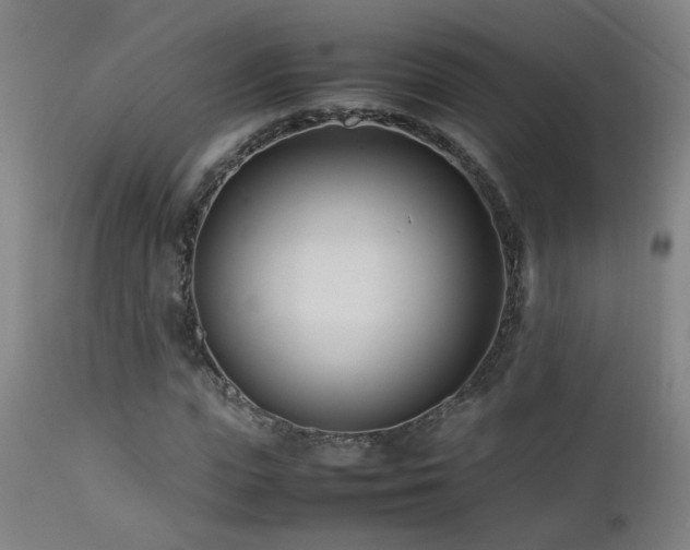 X0000112870823200908211424