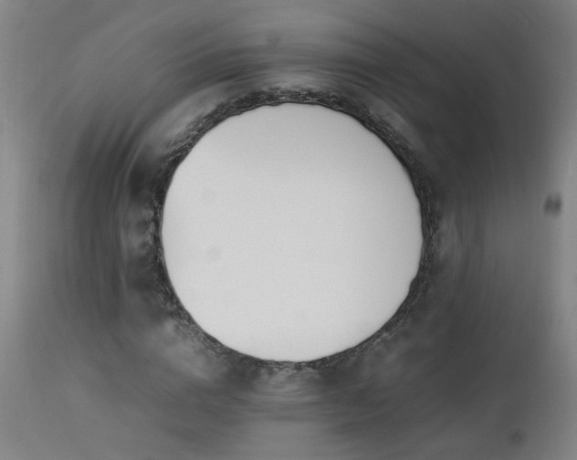 X0000112870824200908211424