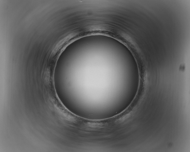 X0000112870825200908211424