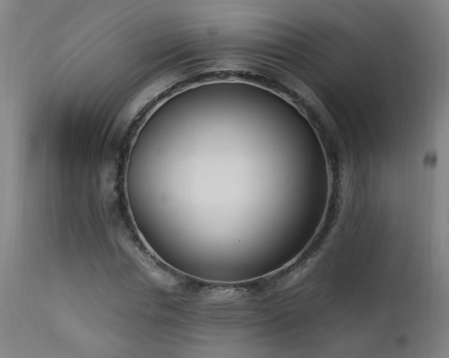 X0000112870826200908211424
